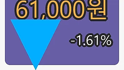 삼양홀딩스마감가 61,000원 -1.61프로 등락..