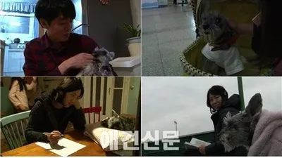 반려동물극장 단짝, 치매 걸린 노견 체리와 지연 씨 가족 이야기 '내 사랑 내 곁에'