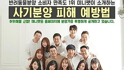 수원, 일산, 강남 강아지, 고양이분양 미니펫, 비숑프리제, 포메라니안, 토이푸들 사기분양 예방법 알려
