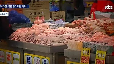 윤기 돌고 털구멍 울퉁불퉁...브라질 닭 파동으로 본 닭고기 잘 고르려면?