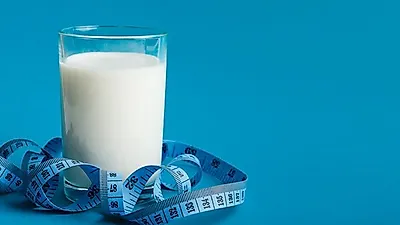단백질보충제,  살찌는 효과, 근육생기는 효과?  단백질 보충제  추천 및 먹는 시간