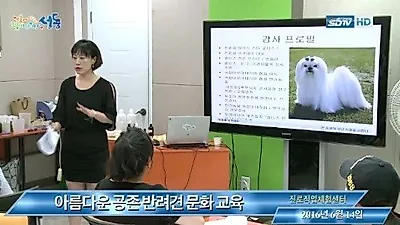 성동구, 아름다운 공존 반려견 문화 교육 현장 공개