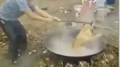 끓는 물에 개를 산채로 삶는 중국남성