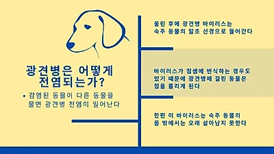 개가 광견병 걸리면 보이는 대표 증상과 예방법은?
