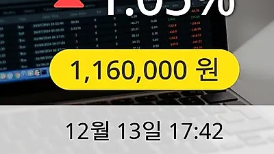LG생활건강 13일 1,160,000원 장종보고