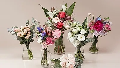 신한은행포유-블루미(BLOOME), 나를 위한 '2주마다 꽃구독' 서비스 제휴 미래설계