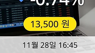 나노신소재 28일 13,500원 장종료