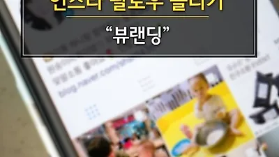 한국인 인스타 팔로우 늘리기 '뷰랜딩', "실제 한국인 계정으로 정확도 높아"