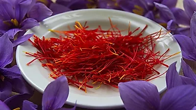 값 비싼 가격을 자랑하는 향신료 '사프란'의 맛과 향