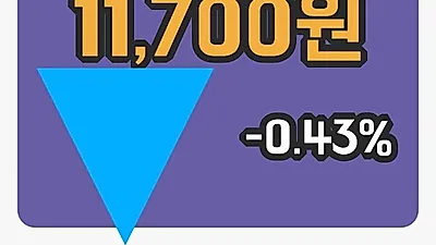 국내주식마감매일홀딩스 19일 11,700원 장종료그래프종합정리