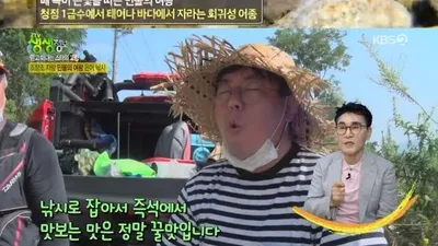조항조, 수선사부터 대원사계곡까지…다양한 경남 산청 매력 소개