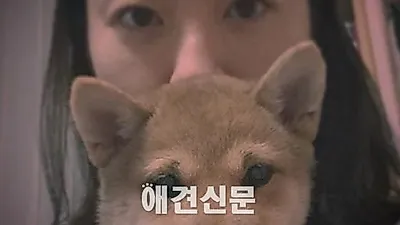 반려견과 함께 한 스타들의 새해 인사