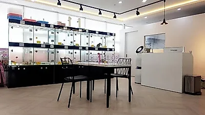 부산고양이분양 "개청순한고양이", 오픈기념 입양고객 용품구입가 50% 할인이벤트 진행 중