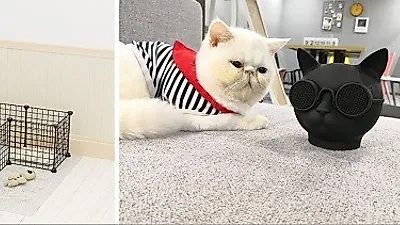 프랑코모다, 반려동물울타리 및 블루투스스피커 브랜드 '펫초이스' 론칭