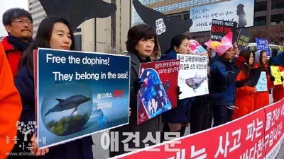 돌고래 5마리 죽어나간 수족관에 또 수입? 그것도 타이지에서...