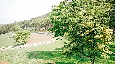 [추석에 가볼 만한 곳⑧] 추석 연휴 국내 여행 '경남 가볼 만한 곳' BEST…부산, 밀양, 창원, 마산 식도락 여행 