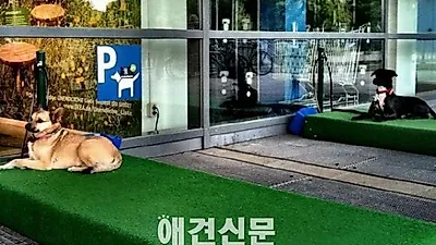 애견주차장(?)을 아시나요. 독일 IKEA의 애견을 위한 배려시설 인기