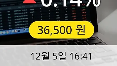 에스에프에이 5일 36,500원 장종보고