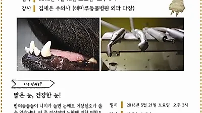 해마루 케어센터, 반려동물 치아관리 관련 문화강좌 개최