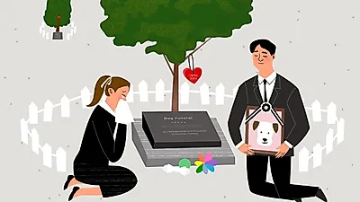 日 사사야마시(市), 반려동물 전용 장례식장 증축