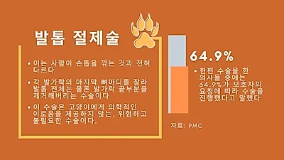 발톱 제거 수술 고양이에게 해로워…부작용 多