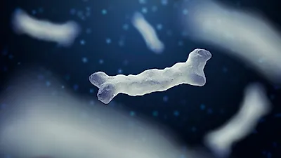 장내유익균에 도움 되는 여성·유아유산균