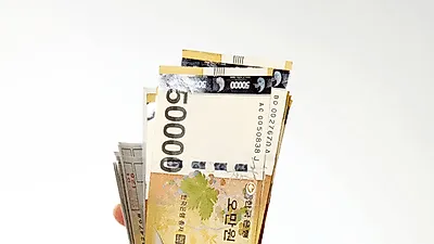 근로장려금 반기 지급일 대상자 추가신청'불가' 2019 근로·자녀장려금 자격요건 조회 기한후신청 10%감액