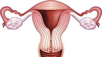 자궁경부암까지 발전할 수 있는 'HPV바이러스', 자세하게 살펴보자