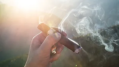 간접흡연이 당신의 애완동물을 위협한다