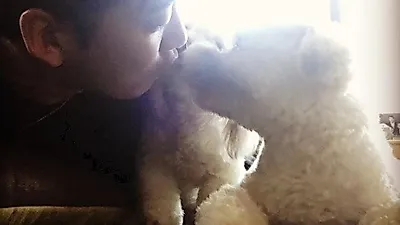 윤계상 반려견, 햇살 아래 따사로운 일상