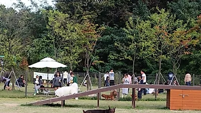 '반려동물 돌봄센터', 광교호수공원에 생긴다