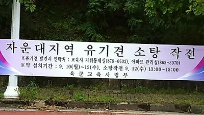 군이 유기견 소탕작전?