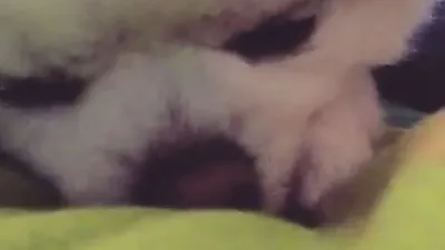 백지영, 잠 자기 직전! 귀엽게 조는 중