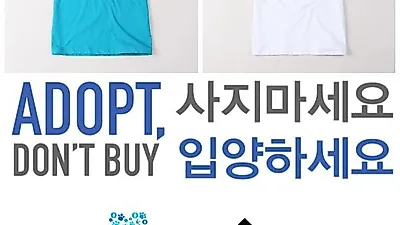 베이직 하우스, 동물자유연대와 동물보호 캠페인 진행