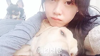 구혜선 '해피투게더' 출연해 애견인 인증 "집에서10마리 키워요"