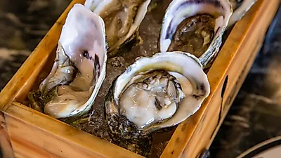 12월 제철 해산물, 생굴 세척법 TIP '노로바이러스증상' 하루 대여섯번 물설사와 발열에 몸살