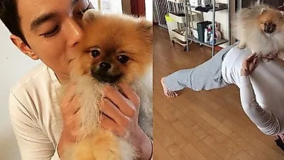 배우 이규한, 강아지 쳐다보는 눈빛에 '달달함이 뚝뚝'