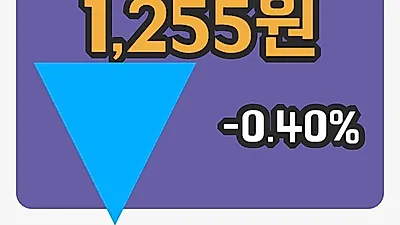카스 2일 1,255원 마감