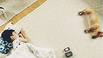 김효진, 꿀잠 중인 아들·반려견 공개 "고요"