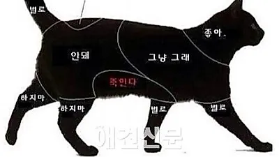 꾹꾹이를 받기 위한 필수 팁!!