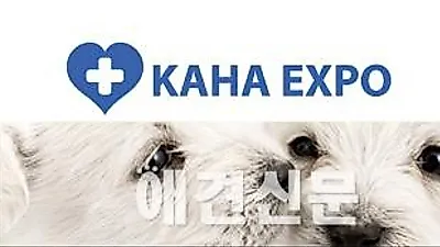 메르스 환자 23명 늘어, 카하 엑스포도 8월로 연기