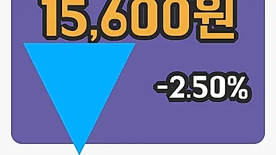 국내주식마감한국타이어월드와이드 14일 15,600원 장종료...
