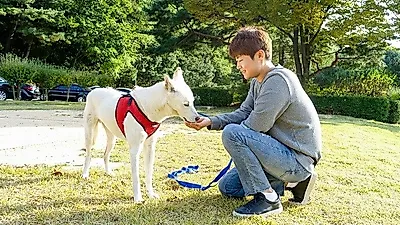 강압적이지 않은 따뜻한 강아지방문훈련, '도고Dog' 주목