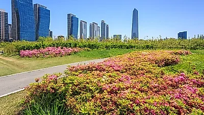 [인천 가볼만한곳] 여긴 몰랐지? 인천 여행 코스…할로윈 송도 센트럴파크부터 인천대공원, 차이나타운, 을왕리해수욕장, 소래습지생태공원 등