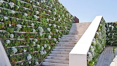 Sentir la naturaleza en la ciudad a través de la jardinería vertical