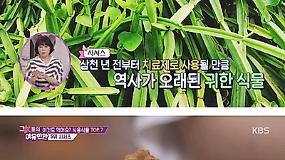 시서스 가루, 비만 원인인 호르몬 불균형 잡는다? 실험 결과보니 효능 놀라워, 먹는 법 VS 부작용은?