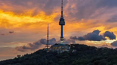 용산구, 이태원 관광특구 일대를 상업, 업무 중심지로 개발…'이태원의 모든 것'