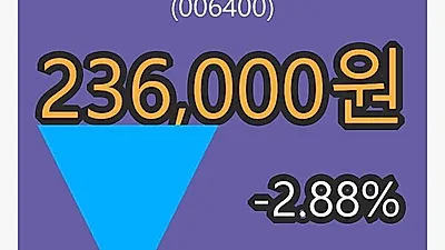 삼성SDI 6일 마감가 236,000원, 전일대비 -2.88% 변동..