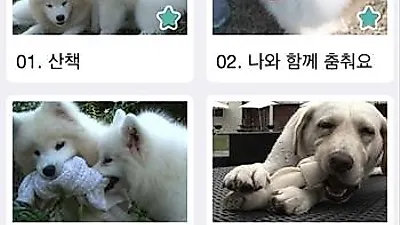 채널해피독, 반려견 위한 음악 어플 출시