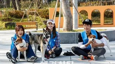 '패치코리아' 최강희·최필립·김민서, 동사실 땡큐센터 일일봉사